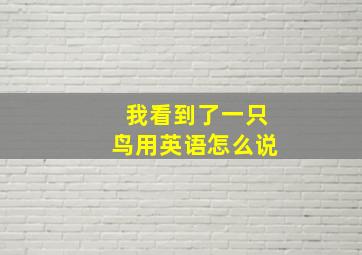 我看到了一只鸟用英语怎么说