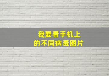 我要看手机上的不同病毒图片