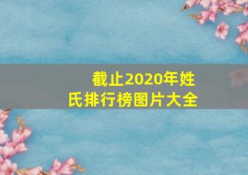 截止2020年姓氏排行榜图片大全