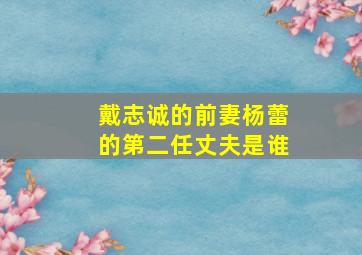 戴志诚的前妻杨蕾的第二任丈夫是谁