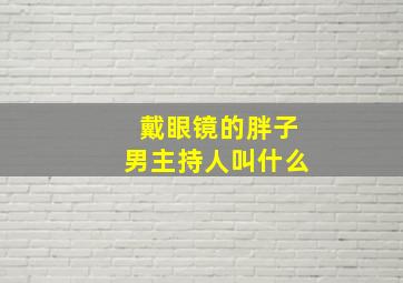 戴眼镜的胖子男主持人叫什么