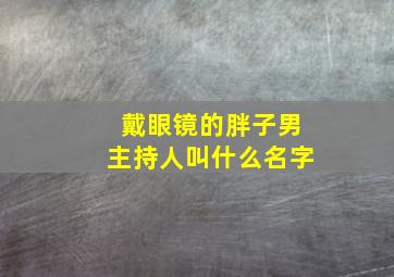 戴眼镜的胖子男主持人叫什么名字