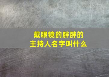 戴眼镜的胖胖的主持人名字叫什么