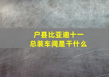 户县比亚迪十一总装车间是干什么