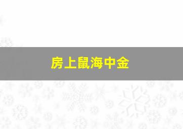 房上鼠海中金