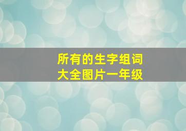 所有的生字组词大全图片一年级