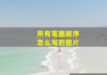 所有笔画顺序怎么写的图片