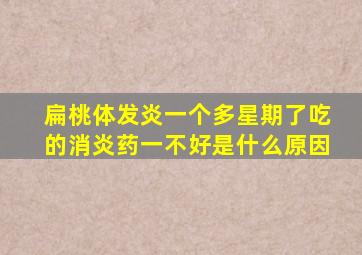 扁桃体发炎一个多星期了吃的消炎药一不好是什么原因