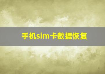 手机sim卡数据恢复