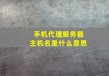 手机代理服务器主机名是什么意思