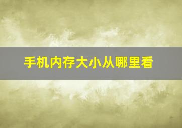 手机内存大小从哪里看