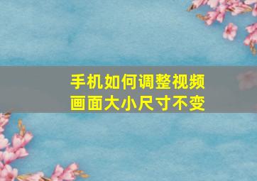 手机如何调整视频画面大小尺寸不变