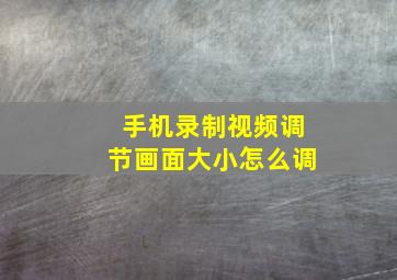 手机录制视频调节画面大小怎么调