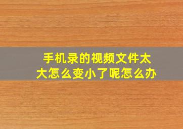 手机录的视频文件太大怎么变小了呢怎么办