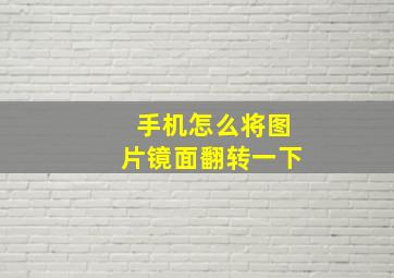 手机怎么将图片镜面翻转一下