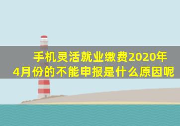 手机灵活就业缴费2020年4月份的不能申报是什么原因呢