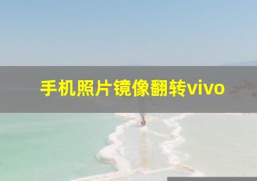 手机照片镜像翻转vivo