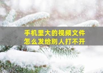 手机里大的视频文件怎么发给别人打不开