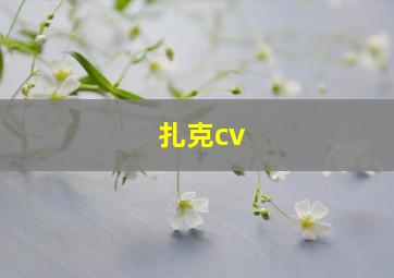 扎克cv