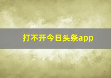 打不开今日头条app