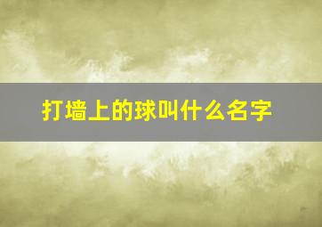 打墙上的球叫什么名字