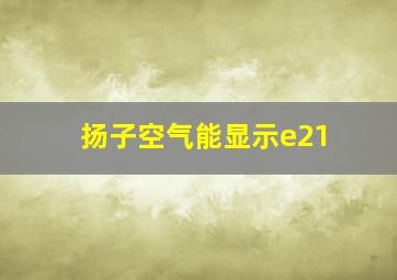 扬子空气能显示e21