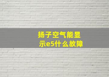 扬子空气能显示e5什么故障