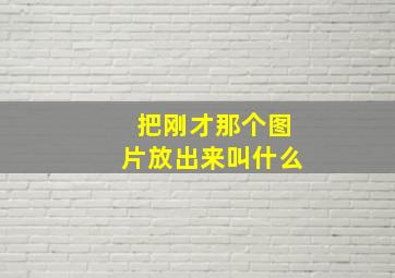 把刚才那个图片放出来叫什么