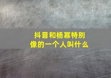 抖音和杨幂特别像的一个人叫什么