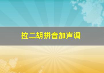 拉二胡拼音加声调