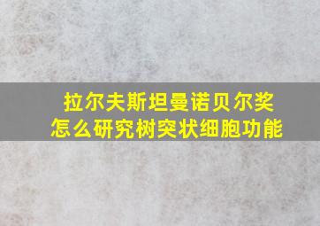 拉尔夫斯坦曼诺贝尔奖怎么研究树突状细胞功能