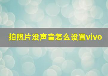 拍照片没声音怎么设置vivo