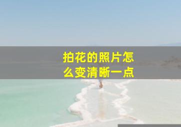 拍花的照片怎么变清晰一点