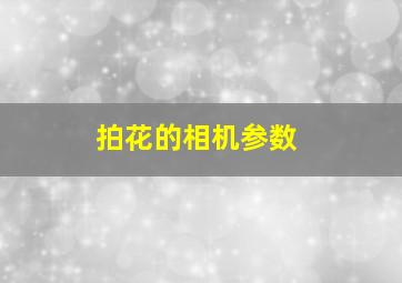 拍花的相机参数