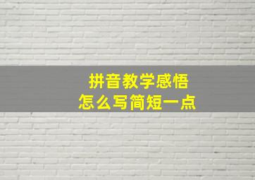 拼音教学感悟怎么写简短一点