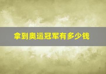 拿到奥运冠军有多少钱