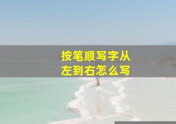 按笔顺写字从左到右怎么写