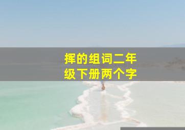 挥的组词二年级下册两个字