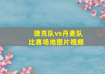 捷克队vs丹麦队比赛场地图片视频