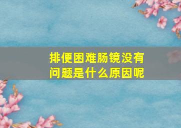 排便困难肠镜没有问题是什么原因呢