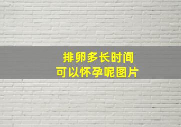 排卵多长时间可以怀孕呢图片