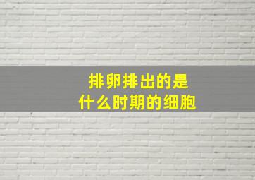 排卵排出的是什么时期的细胞