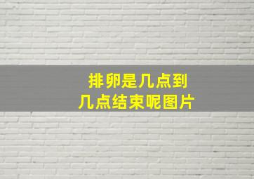 排卵是几点到几点结束呢图片