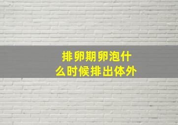 排卵期卵泡什么时候排出体外