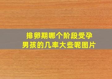 排卵期哪个阶段受孕男孩的几率大些呢图片