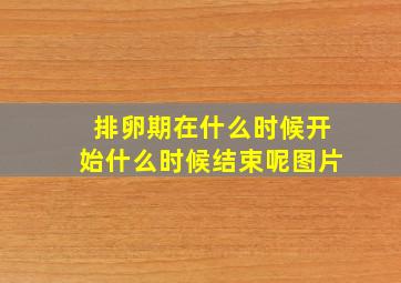 排卵期在什么时候开始什么时候结束呢图片