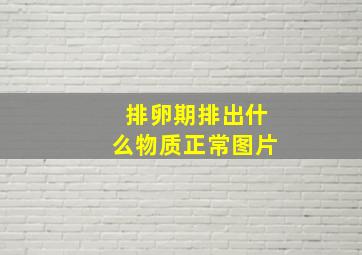 排卵期排出什么物质正常图片