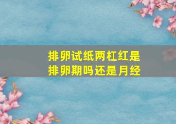 排卵试纸两杠红是排卵期吗还是月经