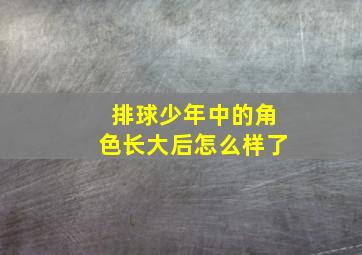 排球少年中的角色长大后怎么样了