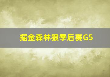 掘金森林狼季后赛G5